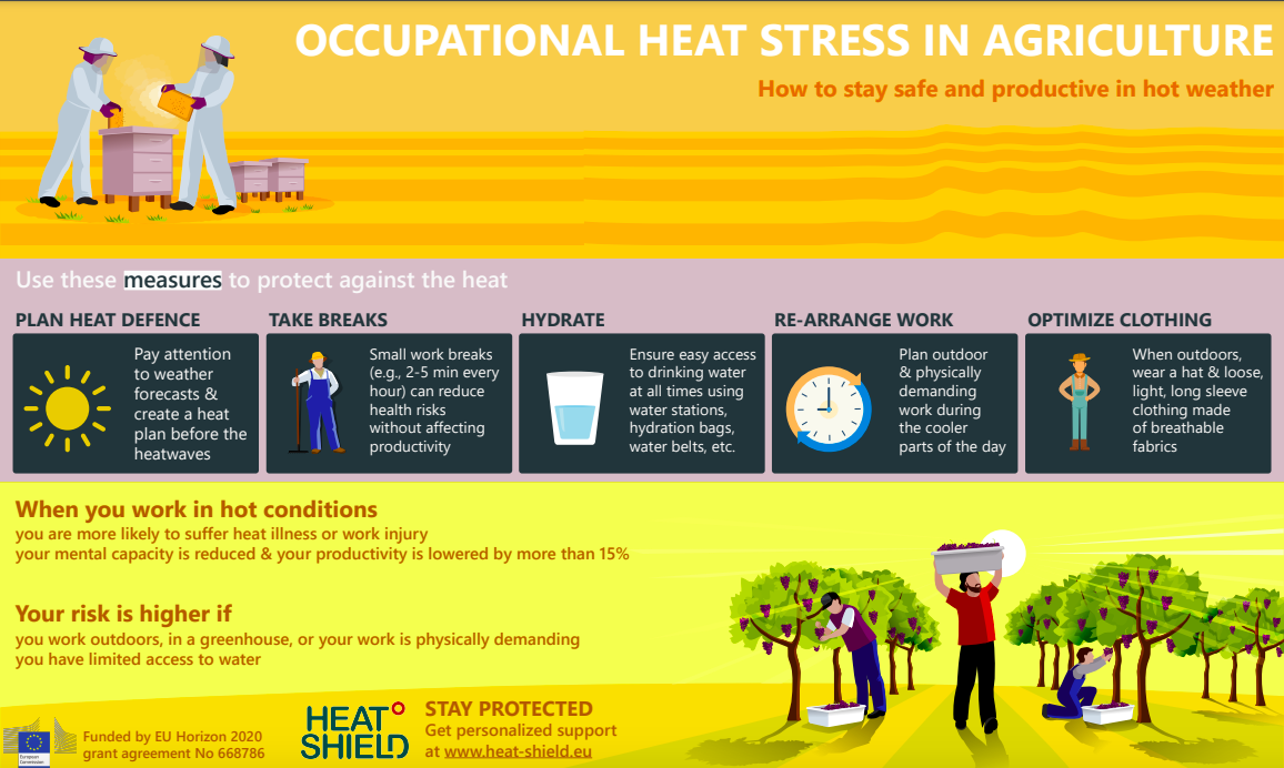 https://stage.ghhin.wmo.acw.website/resources/occupational-heat-stress-infographics/